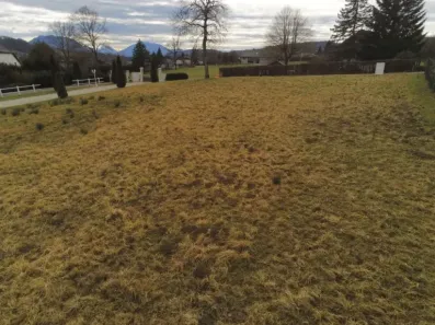 Image du modèle de maison 1