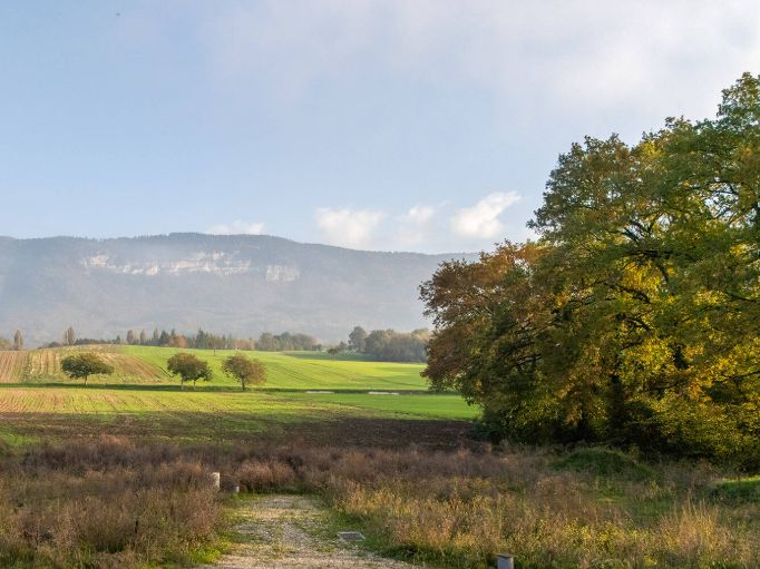 Image du modèle de maison Capture d’écran 2026-02-24 144457
