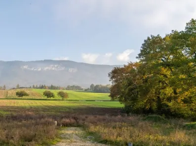 Image du modèle de maison Capture d’écran 2026-02-24 144457