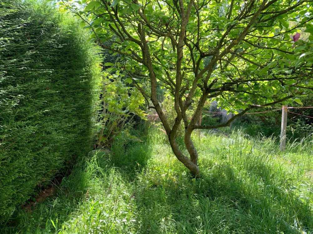 Image du modèle de maison grande_VT_125590_109_2