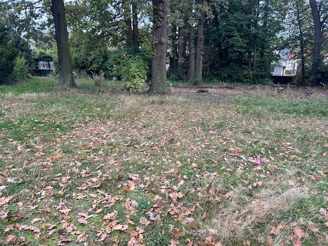 Image du modèle de maison IMG_7409