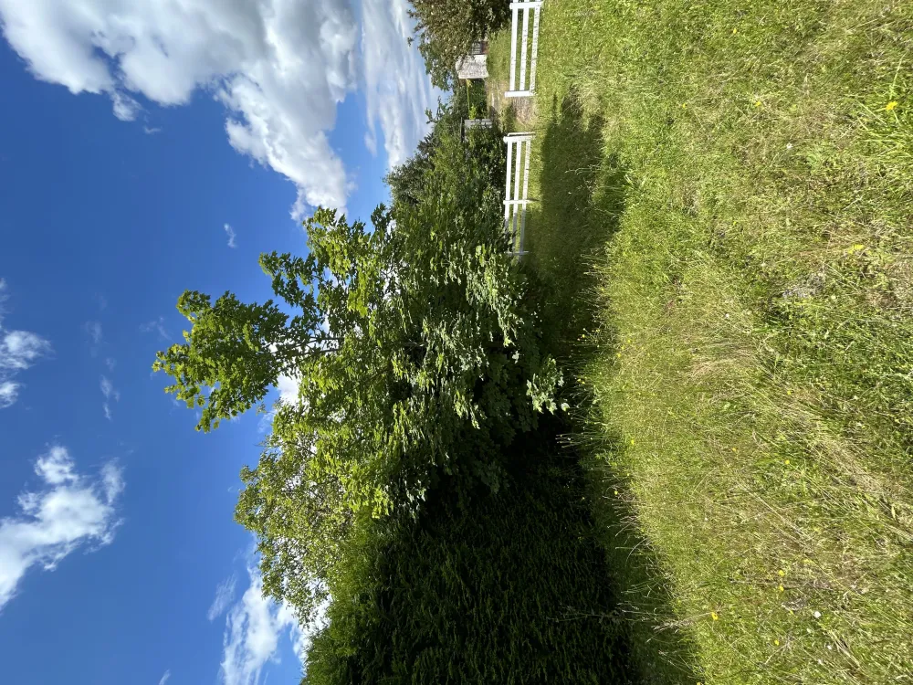 Image du modèle de maison beauchamp 2