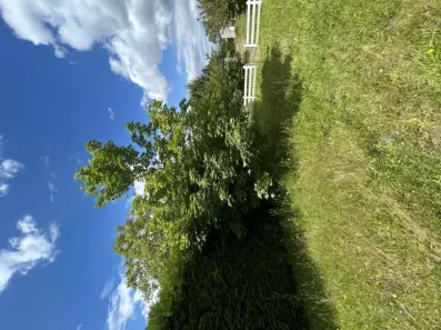 Image du modèle de maison beauchamp 2