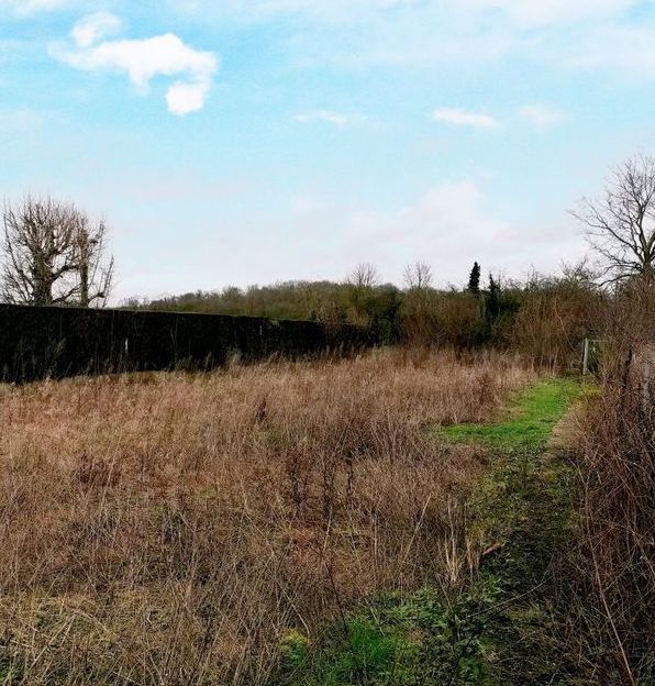 Image du modèle de maison boran 2