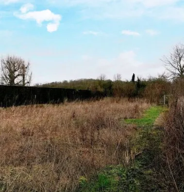 Image du modèle de maison boran 2