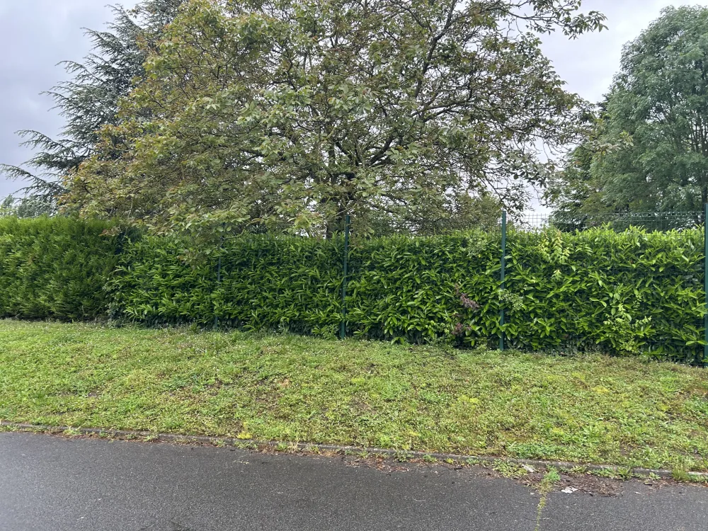 Image du modèle de maison bernes