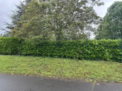 Image du modèle de maison bernes