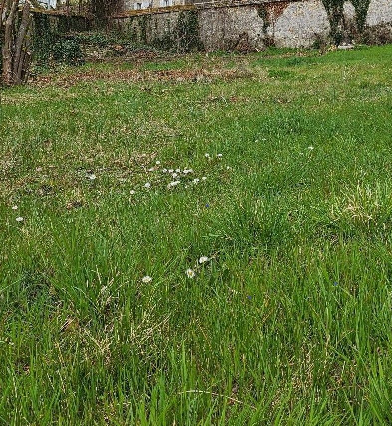 Image du terrain Terrain à bâtir de 410 m² à CHAILLY-EN-BIERE (77)