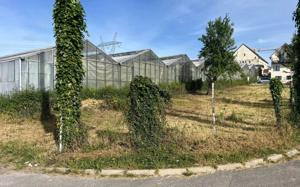 Image du modèle de maison OLLAINVILLE