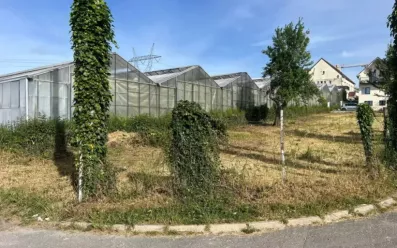 Image du modèle de maison OLLAINVILLE