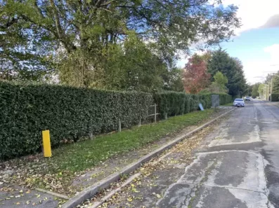 Image du modèle de maison champs sur marne vita