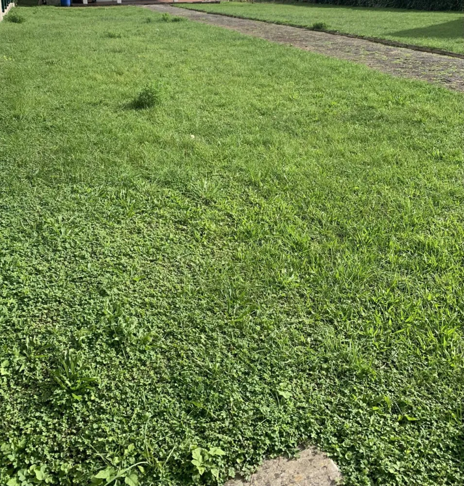 Image du modèle de maison 1