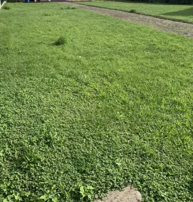 Image du modèle de maison 1