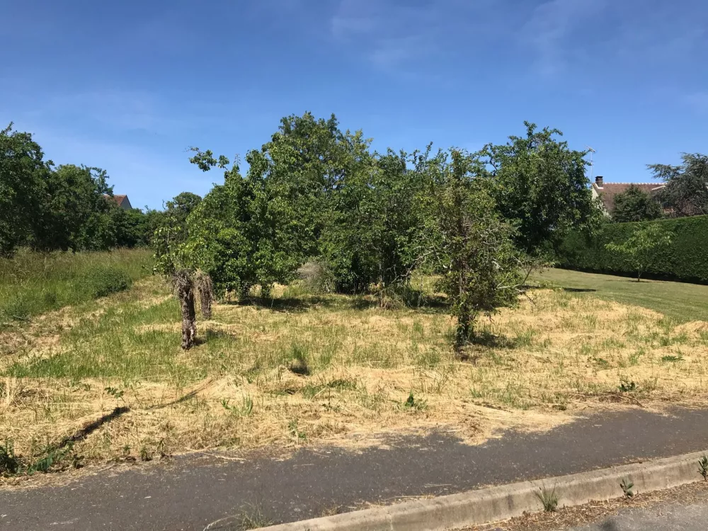 Image du modèle de maison T8+