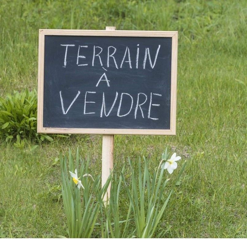 Image du modèle de maison thumbnail_IMG_3840