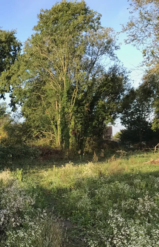 Image du terrain Terrain à bâtir de 500 m² à LIMOGES-FOURCHES (77)