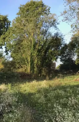 Image du modèle de maison FAVIERE3