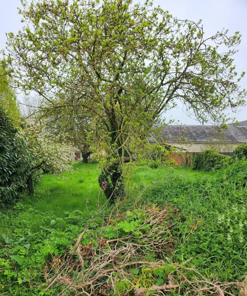 Image du modèle de maison authon la pleine.2