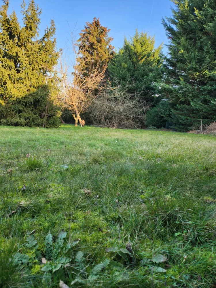 Image du modèle de maison claye