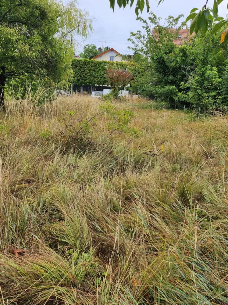 Image du modèle de maison vigneux 449m²