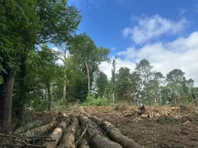 Image du modèle de maison Terrain coutevroult
