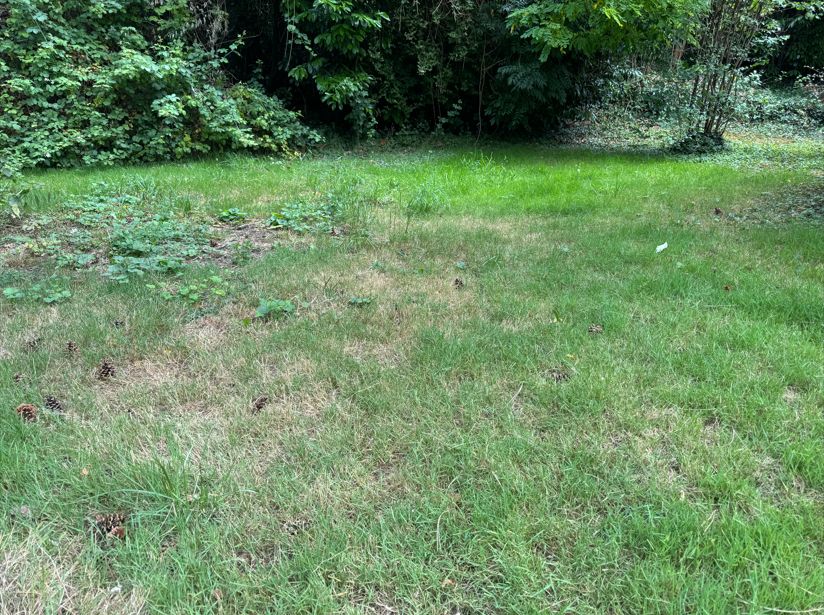 Image du modèle de maison Capture T TORCY2