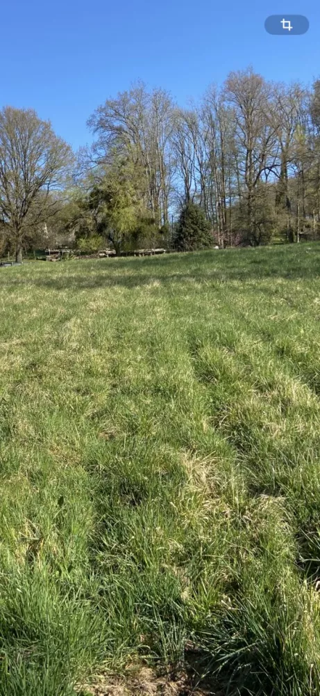 Image du modèle de maison terrain v