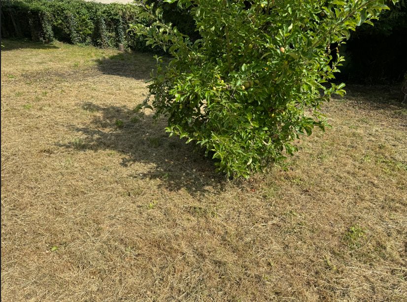 Image du modèle de maison Capture d’écran NLM 2025-06-22 231225