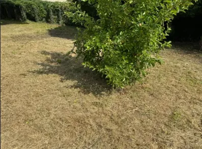 Image du modèle de maison Capture d’écran NLM 2025-06-22 231225