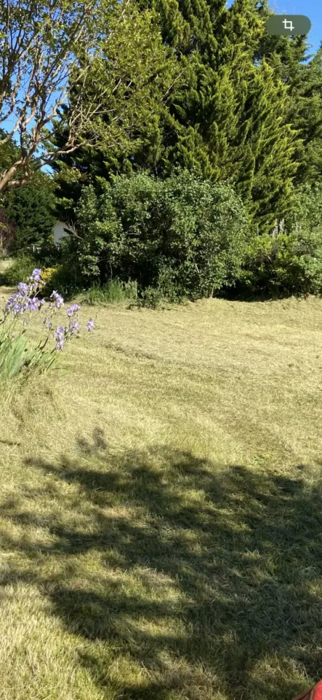 Image du modèle de maison terrain B