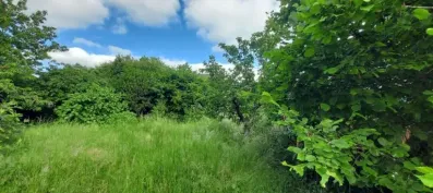 Image du modèle de maison 13986702a