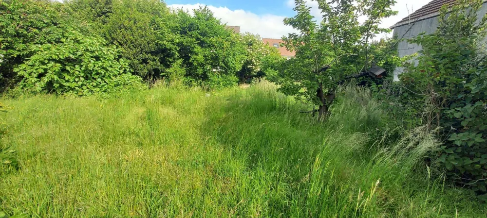 Image du modèle de maison 13986702c