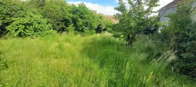 Image du modèle de maison 13986702c