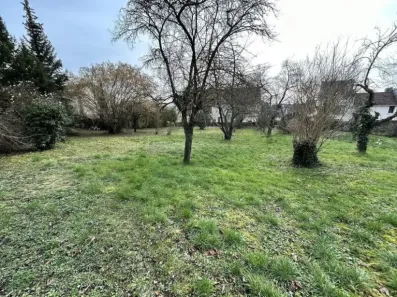 Image du modèle de maison IMG_8489