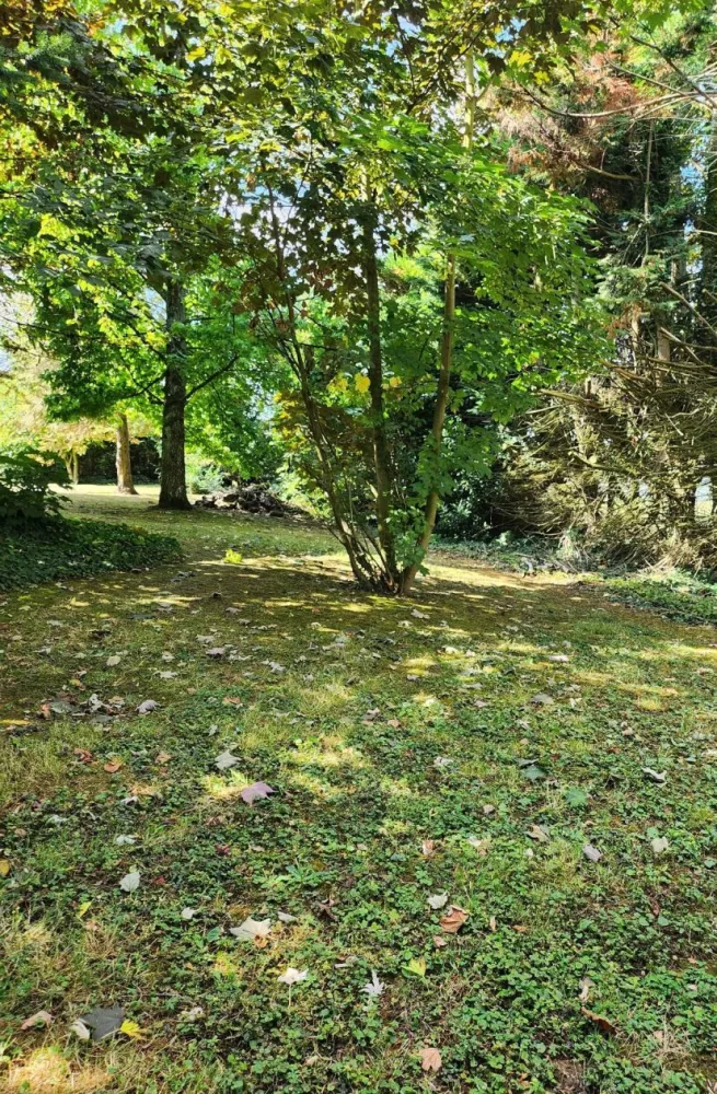 Image du modèle de maison Lot A F-A