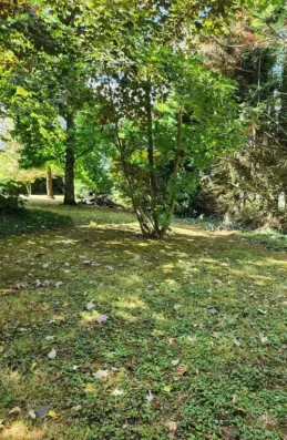 Image du modèle de maison Lot A F-A