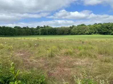 Image du modèle de maison terrain lesches