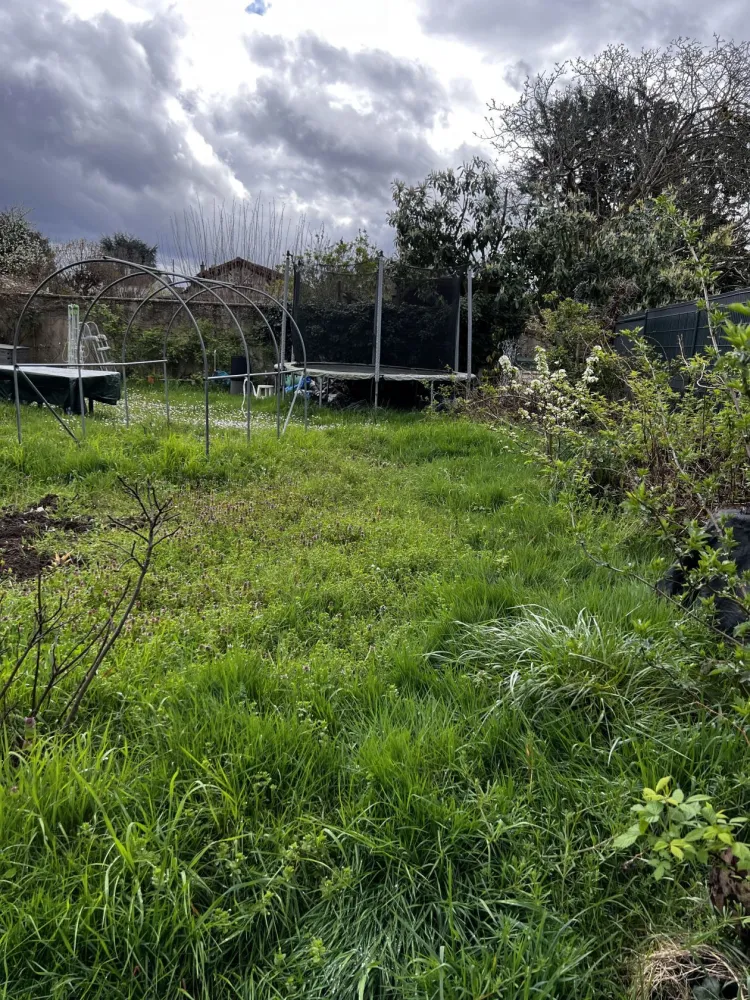 Image du modèle de maison jaqueline jeunon 6