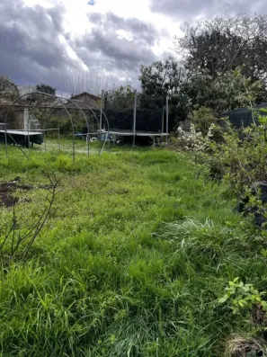 Image du modèle de maison jaqueline jeunon 6