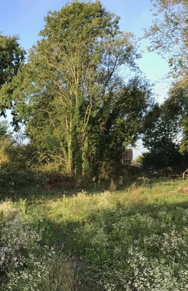 Image du modèle de maison FAVIERE3