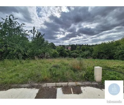 Image du modèle de maison noiseau 2