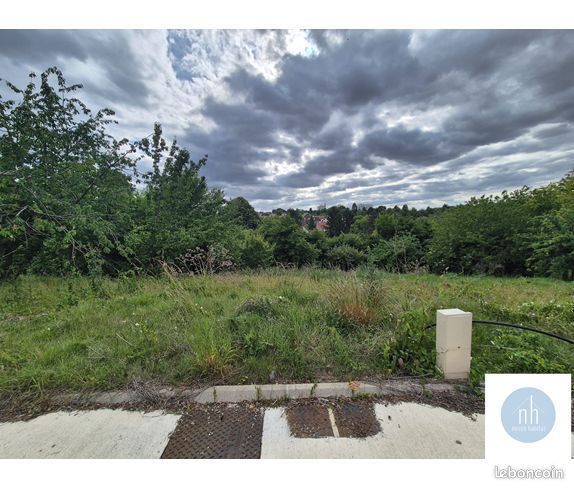 Image du modèle de maison noiseau 2