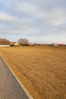 Image du modèle de maison B6C4C3E7-4F3D-4589-A249-6489F3049BBC