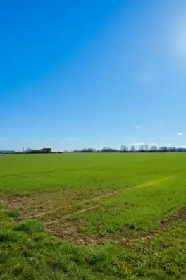 Image du modèle de maison 6E235124-D5DF-46B7-AAB6-6BAD9F4BD7F3