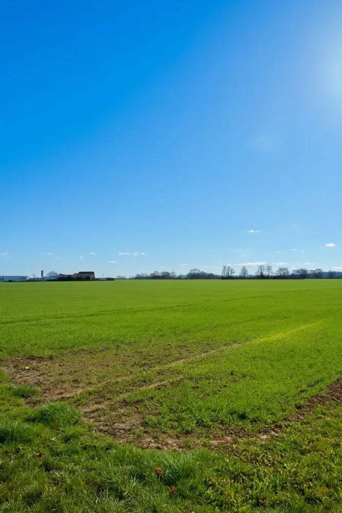 Image du modèle de maison 6E235124-D5DF-46B7-AAB6-6BAD9F4BD7F3