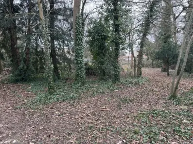 Image du modèle de maison IMG_6151