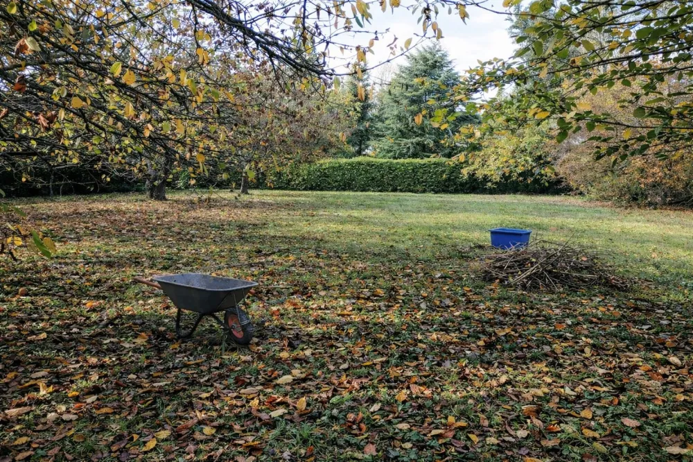 Image du modèle de maison e224f93e-3af0-4350-ae4f-f47b0b5ac055