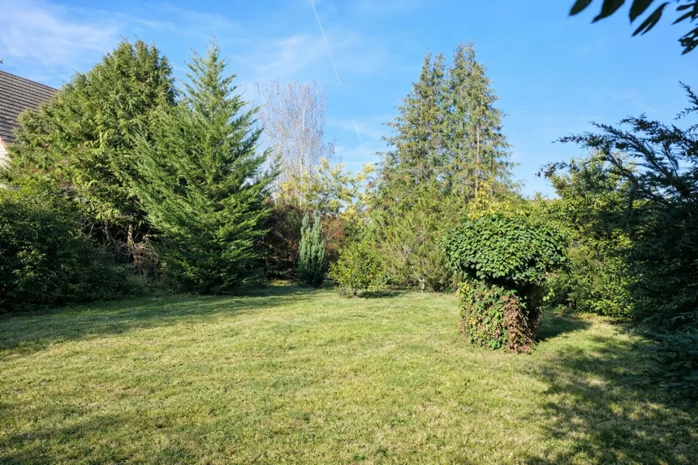 Image du modèle de maison 81b09a5e-41fa-400e-b4f7-7a87a0d22767