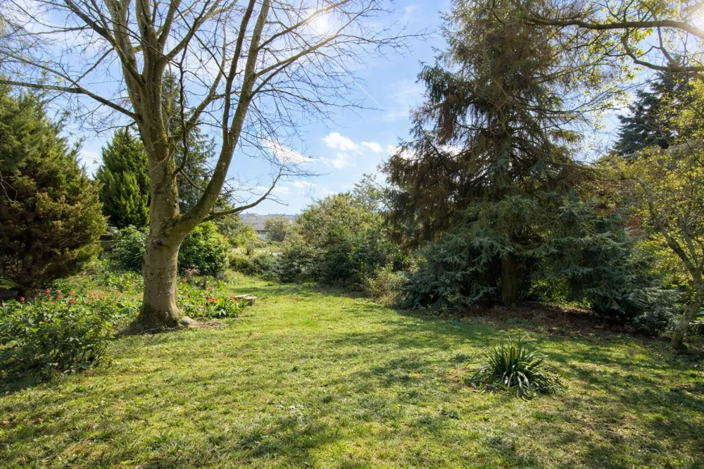 Image du modèle de maison 1f968ab7-9095-4a4a-ba69-fc383b48cf72