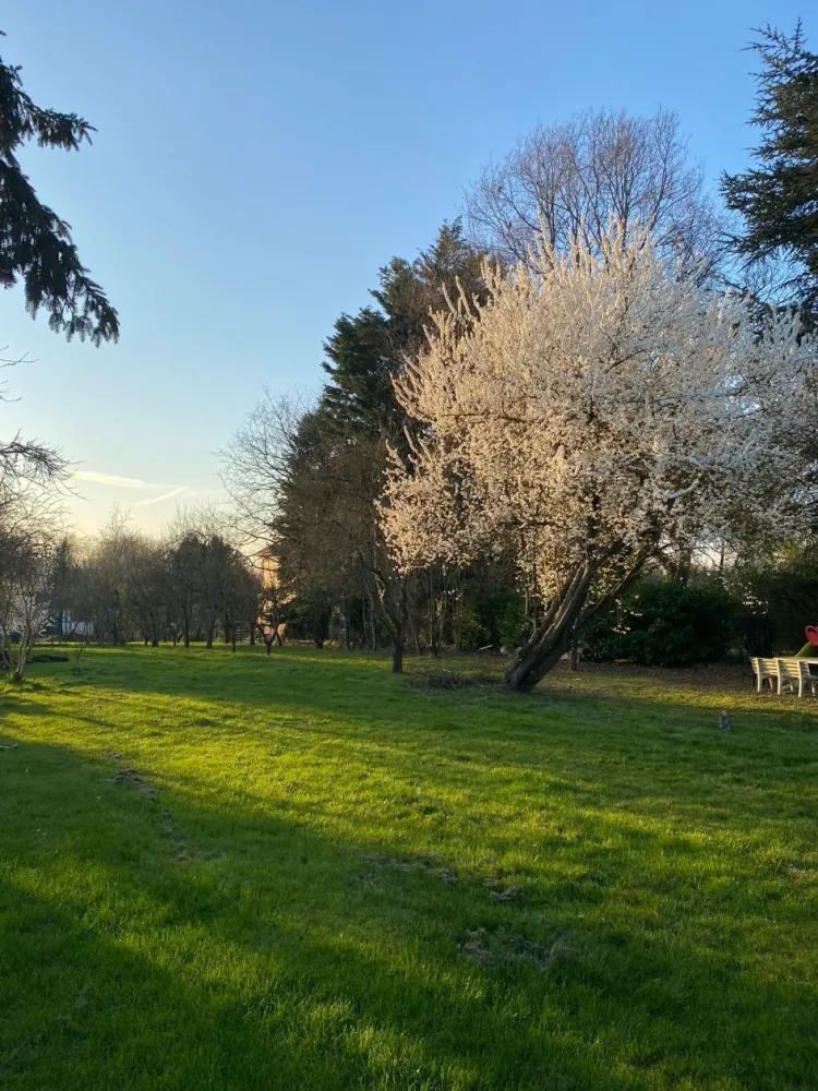 Image du modèle de maison 23cf244b-4cd7-43ed-a85d-2fa567f1dc6a